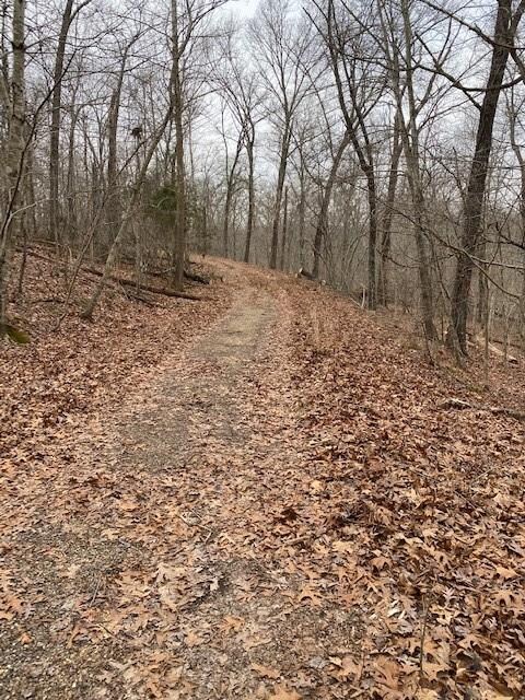 0 Devonshire (Lot 27) Ln unit 1172567, Bella Vista, AR 72715 - photo 4