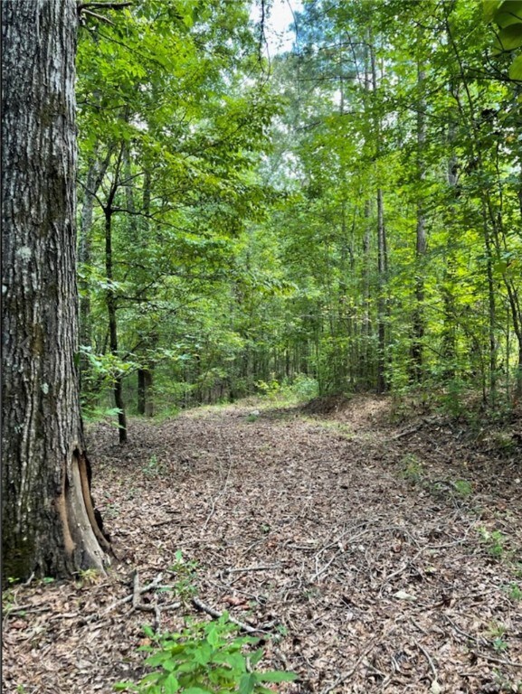 unlisted-address, Salem, AL 36874 - photo 2