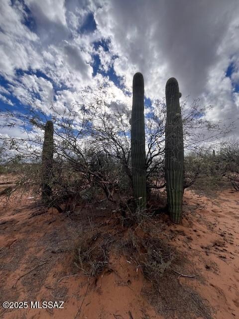 3394 E El Toro Rd, Sahuarita, AZ 85629 - photo 7