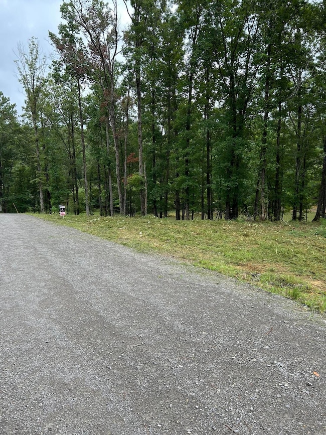 0 Shoreside Dr, Double Springs, AL 35553 - photo 3