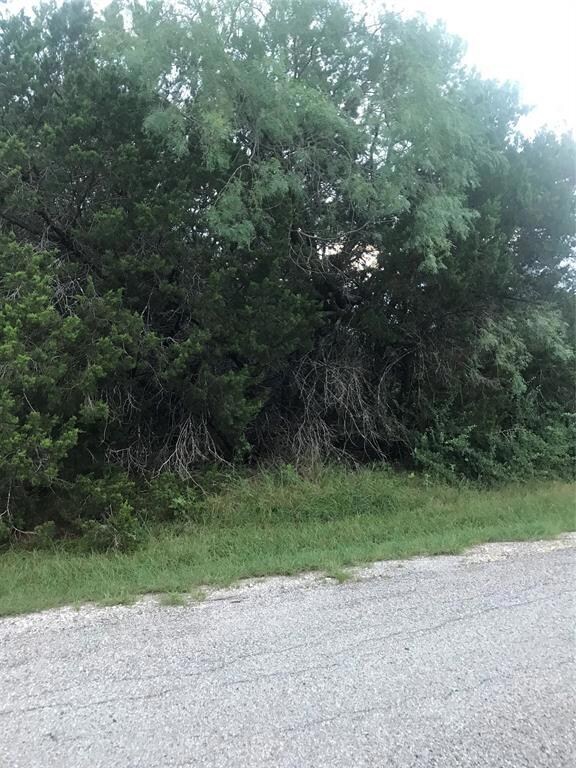 18170 Wildwood Dr, Whitney, TX 76692 - photo 7