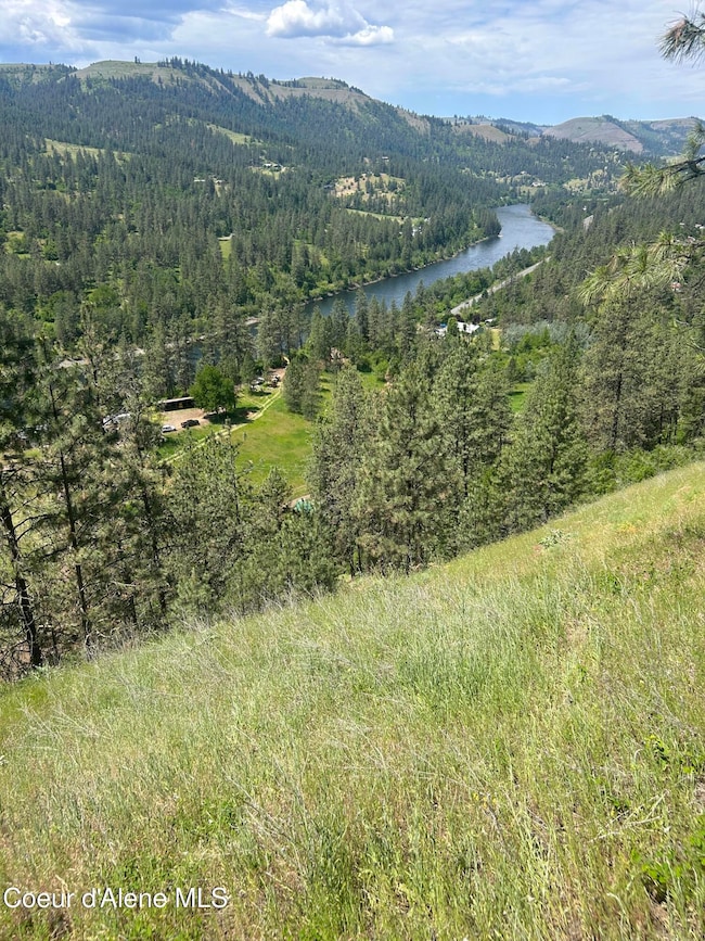 IMG_4641