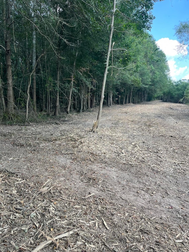 0 George Boutwell Rd, Ovett, MS 39464 - photo 4