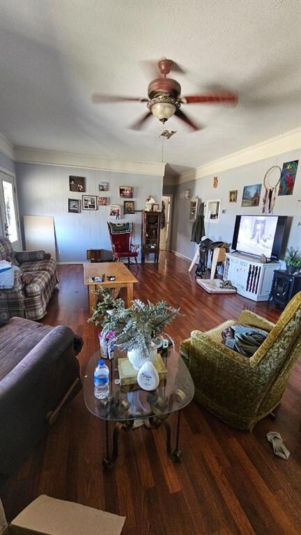 Living room with ornamental molding, a textured ceiling, ceiling fan, and dark wood-type flooring