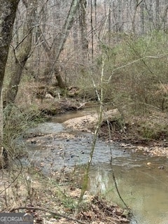 5561 Wg Robinson Rd, Gainesville, GA 30506 - photo 5