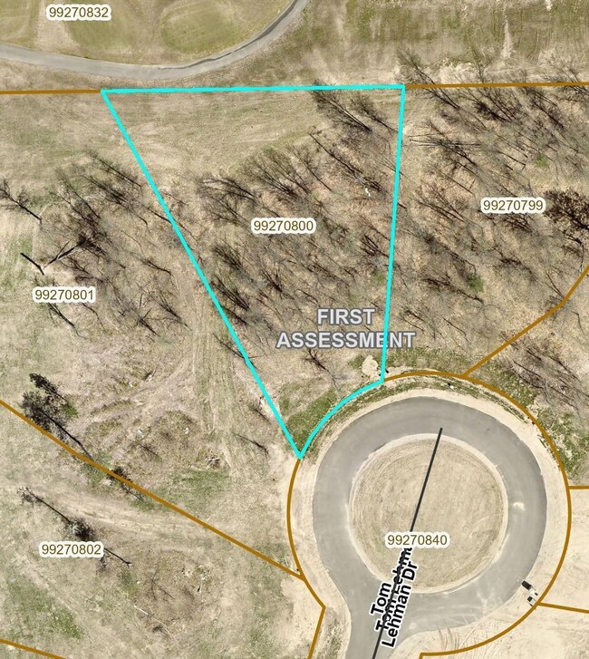Lot 15 .58 Acres 164 Tom Lehman Dr, First Assessment, MN 56401 - photo 6