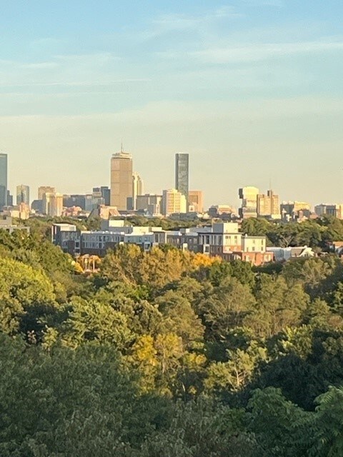 151 Coolidge Ave unit 705, Watertown, MA 02472 - photo 2