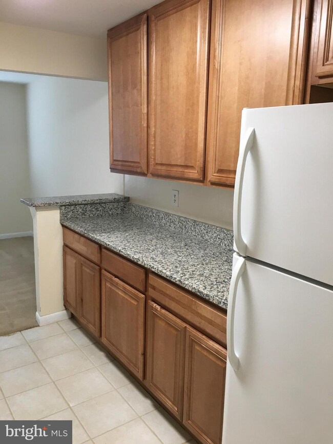 1952 Kennedy Dr unit 202, McLean, VA 22102 - photo 6