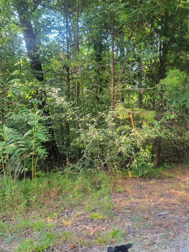 5395 Eastport Dock Rd, Monroe, TN 38573 - photo 2