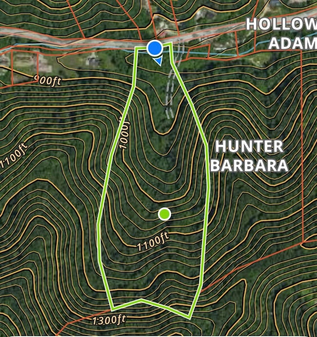 99999 Ky 2030, Martin, KY 41649 - photo 2