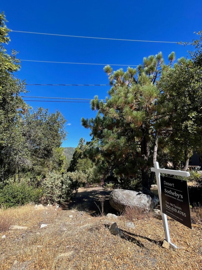 Looking at lot from the street