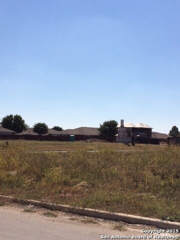 1207 Gruene Rd, New Braunfels, TX 78130 - photo 4