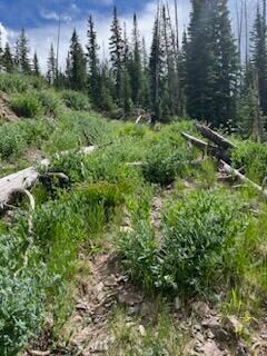 IMG_8514(1)