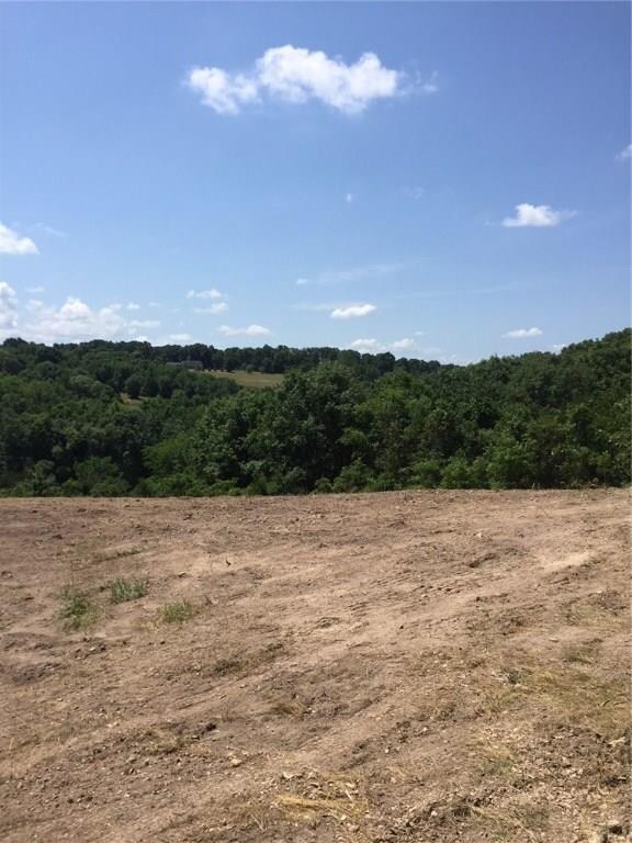 4260 Bear Hollow Rd, Jane, MO 64856 - photo 6