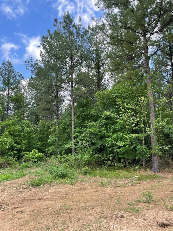 699 Timber Creek Trails South XI, Broken Bow, OK 74728 - photo 3