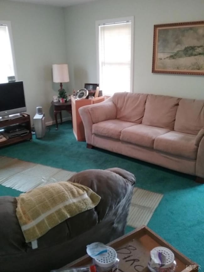 7084 Hunting Creek Rd, Nathalie, VA 24577 - photo 3