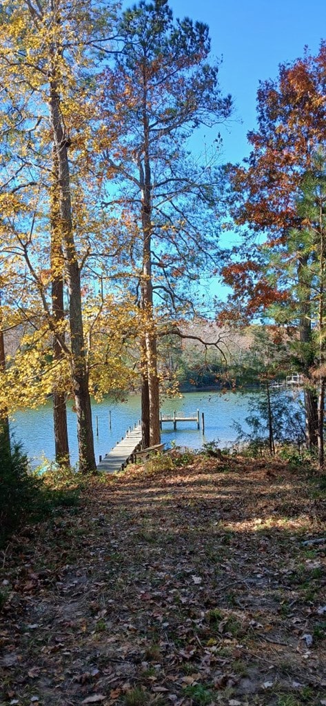 Lot 3 Hideaway Point Rd, Topping, VA 23169 - photo 6