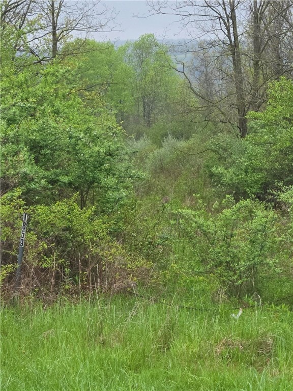 1859 Price Road Entry. Drive is brush over grown.