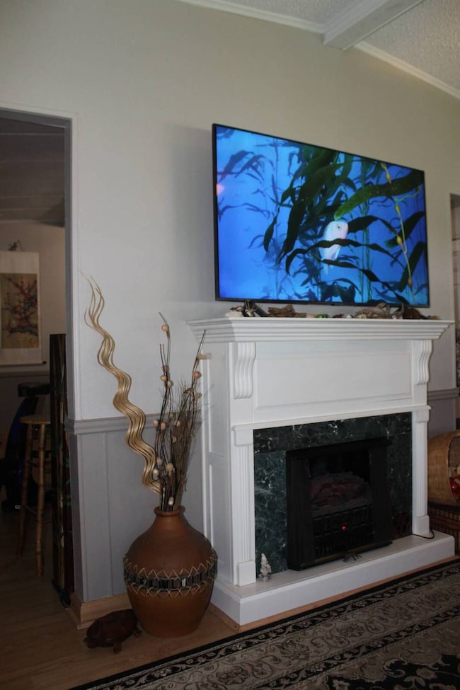 living room fire place