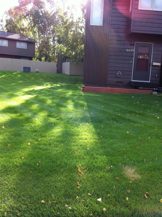 Canton Front Yard