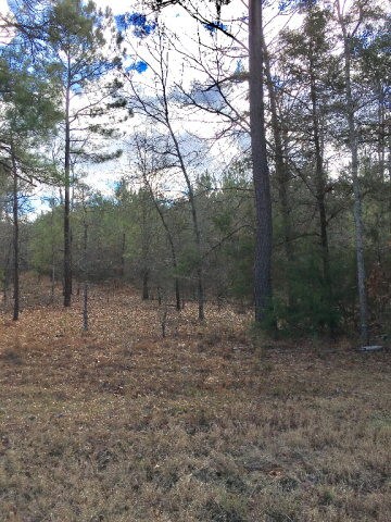 10 Acres