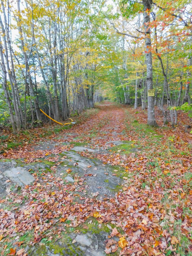 Seasonal road