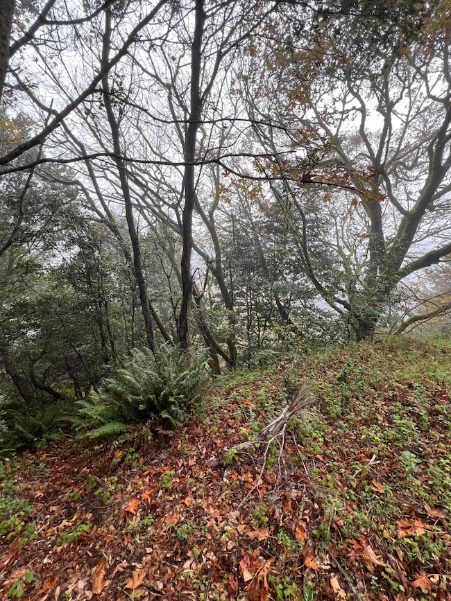 69 Otter Ln, Whitethorn, CA 95589 - photo 2