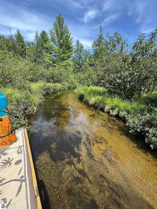 3467 River Park Dr unit 107, Grayling, MI 49738 - photo 3