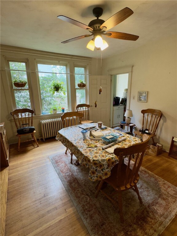 Dining