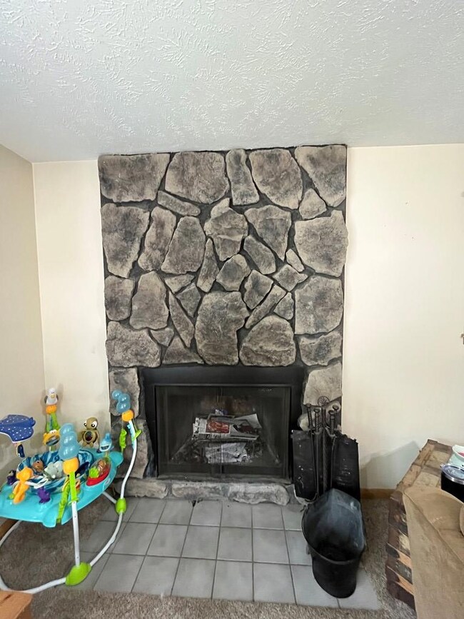 Wood Burning Fireplace