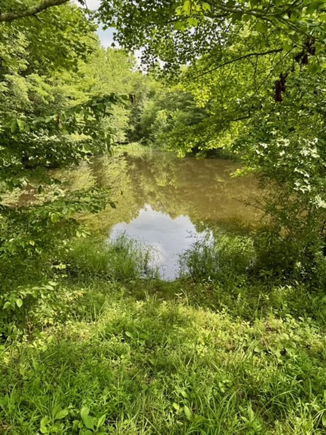 0 Chapel Hollow, Argillite, KY 41144 - photo 4