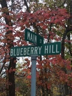 691 Main St, Winslow, AR 72959 - photo 2