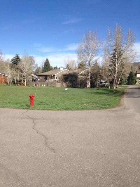 Additional Photo