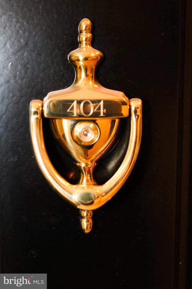 Condos at the Ridge unit 404, Owings Mills, MD 21117 - photo 4