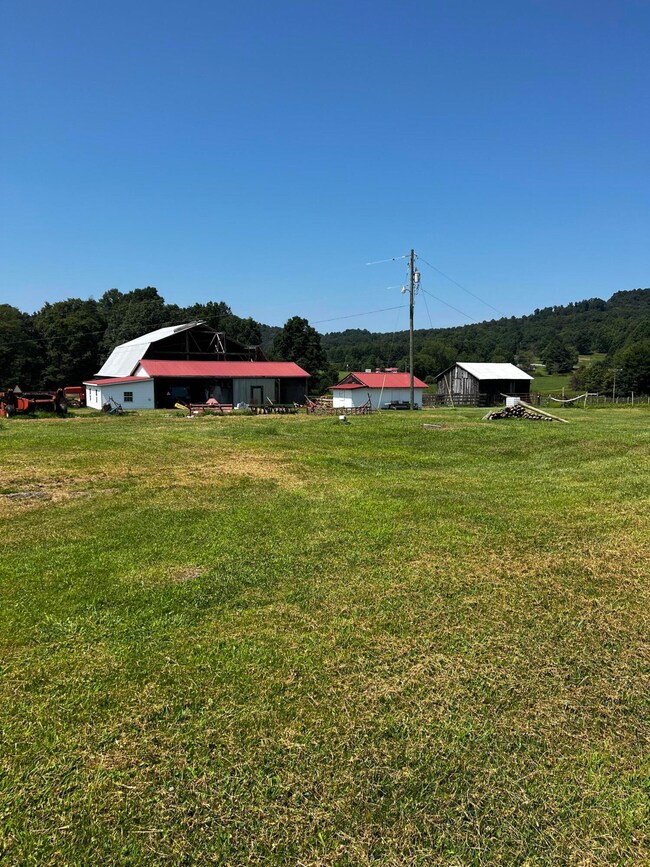 86 Cecil Underwood Ln unit 86, Canvas, WV 26662 - photo 4