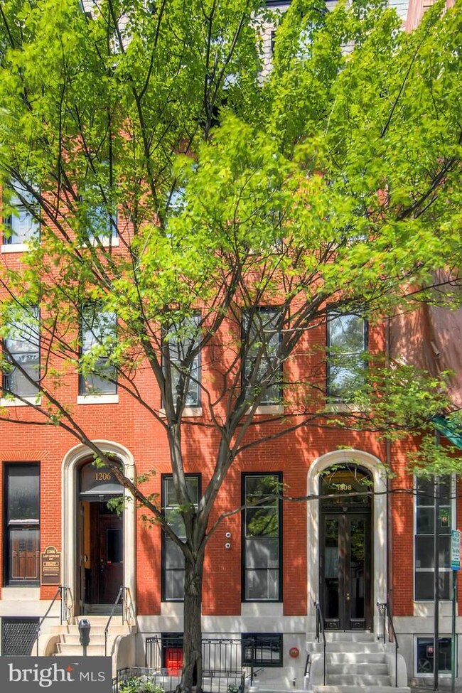 1208 Saint Paul St unit C, Baltimore, MD 21202 - photo 4