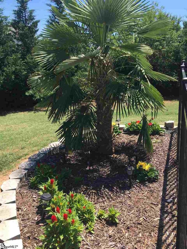 Beautifully landscaped yard with Palm Trees