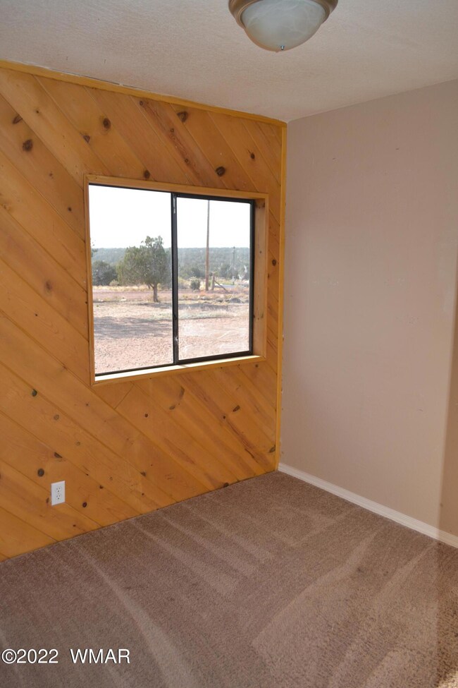 Mountain View 005