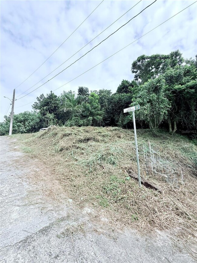 0 Calle Pineros, Cayey, PR 00736 - photo 6