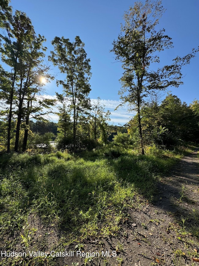 L2 High Rock Rd, West Coxsackie, NY 12192 - photo 4