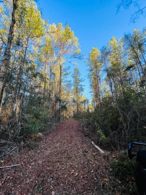 TBD Dinan Salem Rd, Tylertown, MS 39667 - photo 7