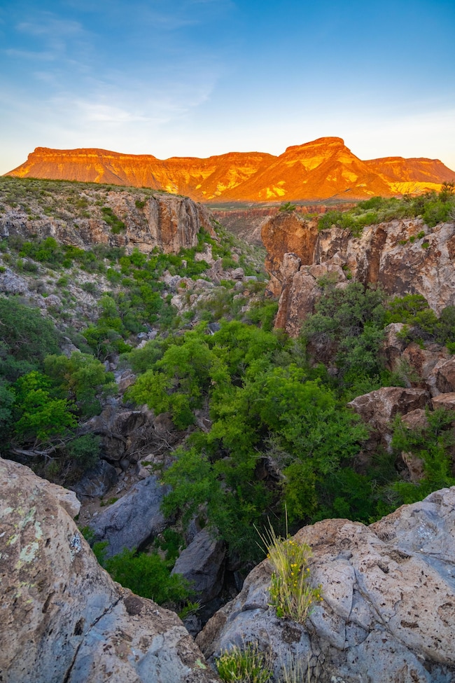 Bandera Ranch, Marfa, TX 79843 - photo 7
