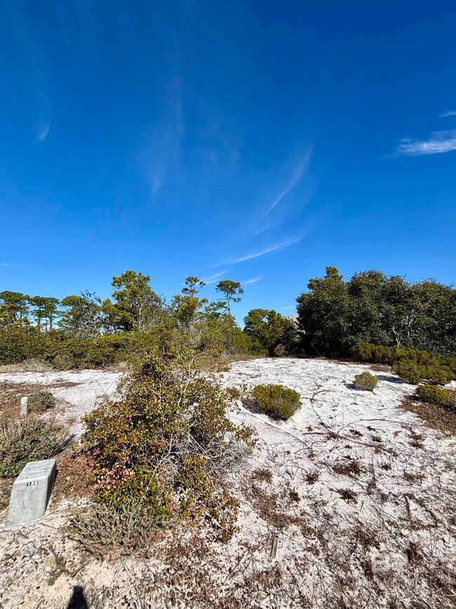 0 River Rd unit 127 372264, Orange Beach, AL 36561 - photo 2