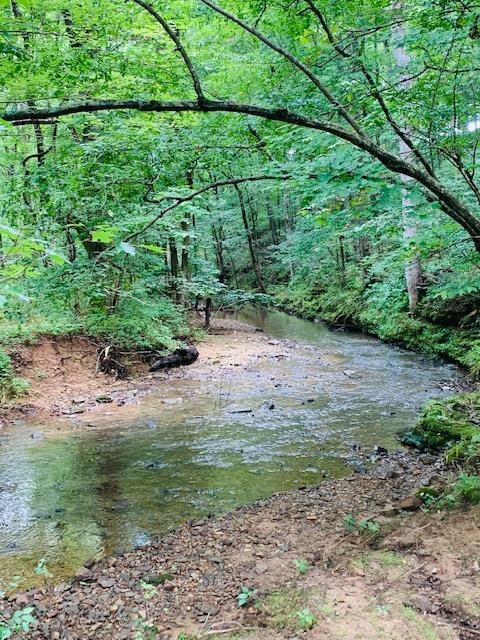 2123 Bear Creek Rd, Cookeville, TN 38506 - photo 3