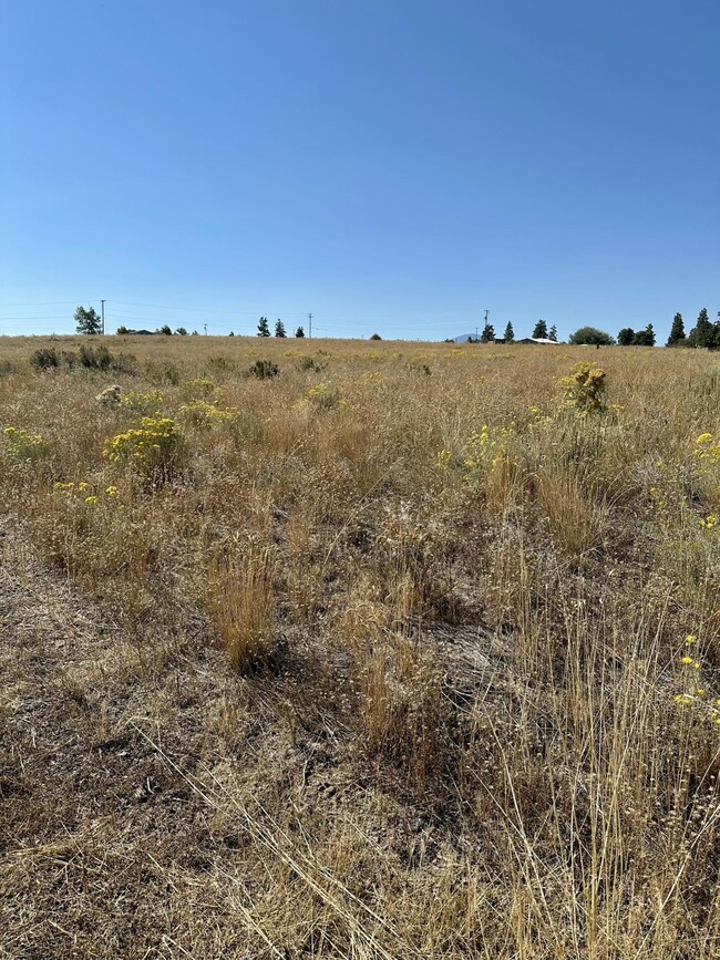 0 Newman Place unit 35, Oregon Shores, OR 97624 - photo 3