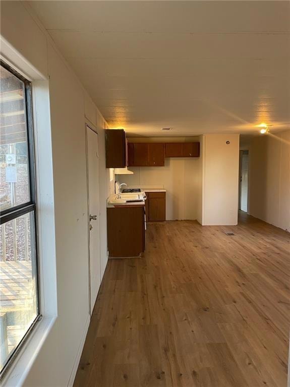 Kitchen featuring dark wood finished floors, light countertops, and dark brown cabinets