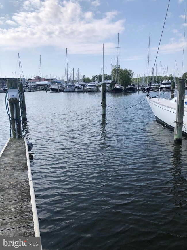 Boat Slip - SEVERN H Fairview Ave, Annapolis, MD 21403 - photo 2