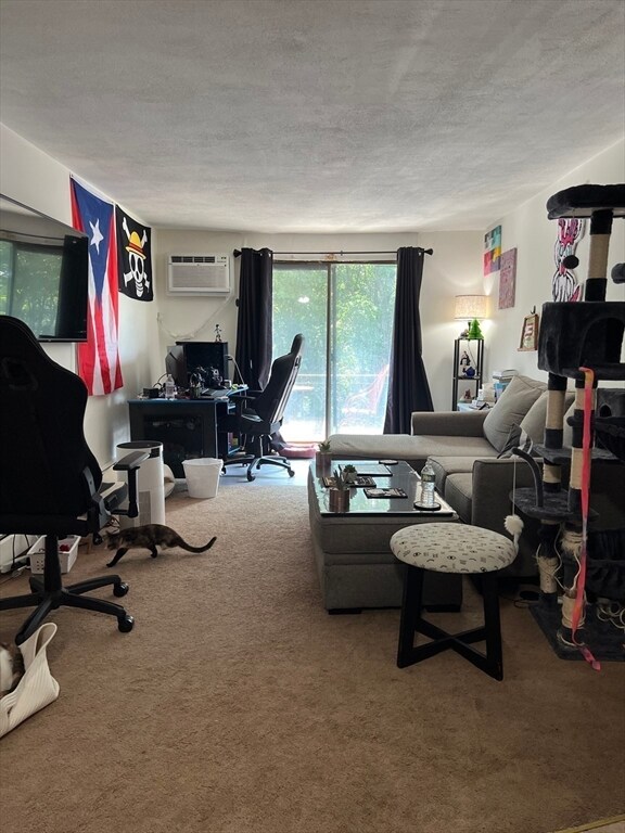 121 Whipple St unit 15, Worcester, MA 01610 - photo 4