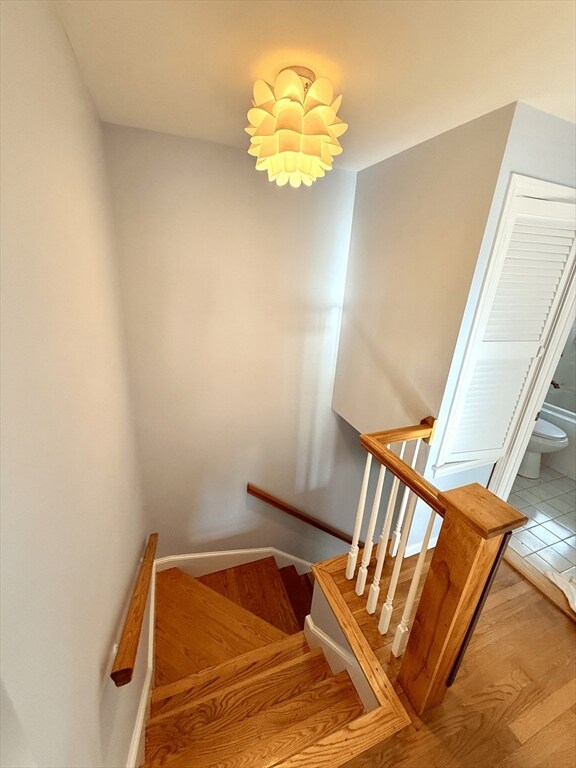 28 College Farm Rd unit 2, Waltham, MA 02451 - photo 6