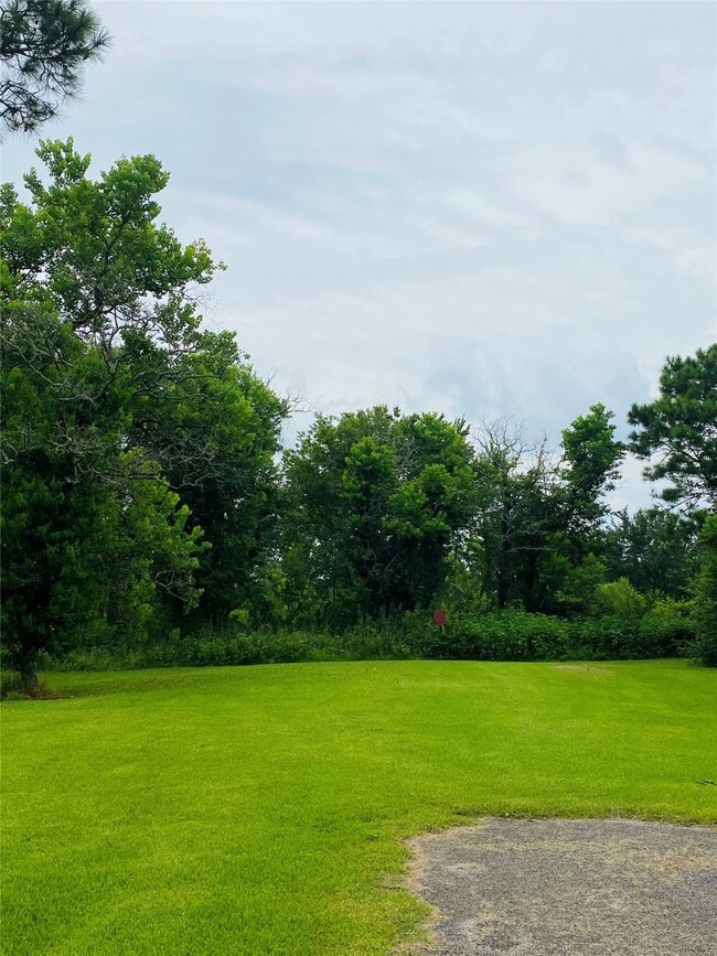 4698 Duchess Lane County Road 305, Alvin, TX 77511 - photo 6